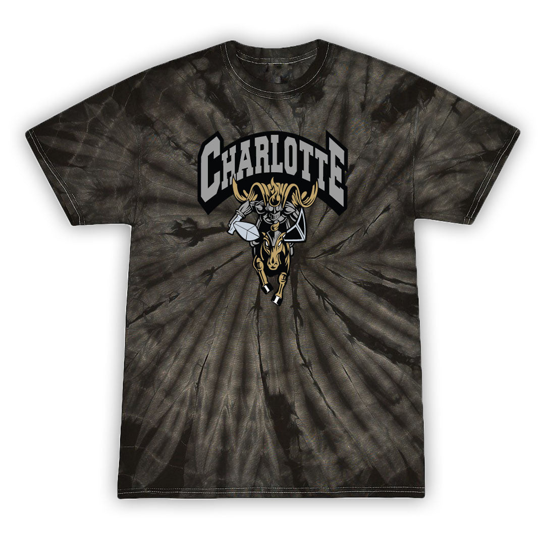Charlotte Knights Graphic Tee (We are CLT)